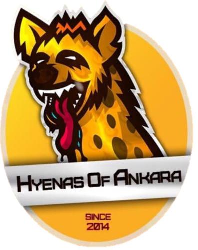 Hyneas of ankara logo