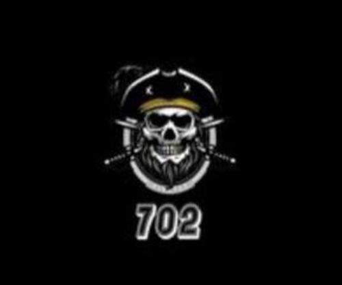 Team 702 logo
