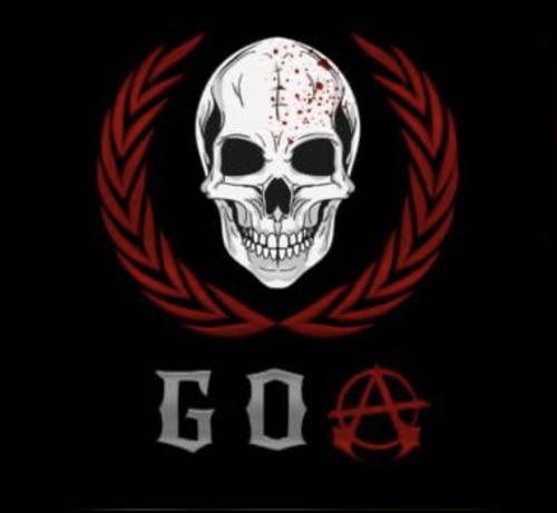 GOA academy logo
