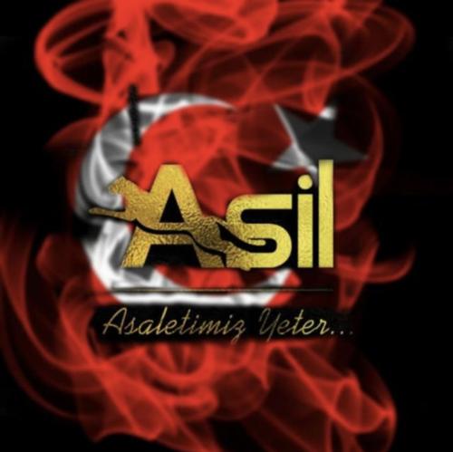 Asil E-sports logo