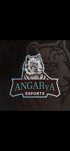 ANGARyA Espor logo