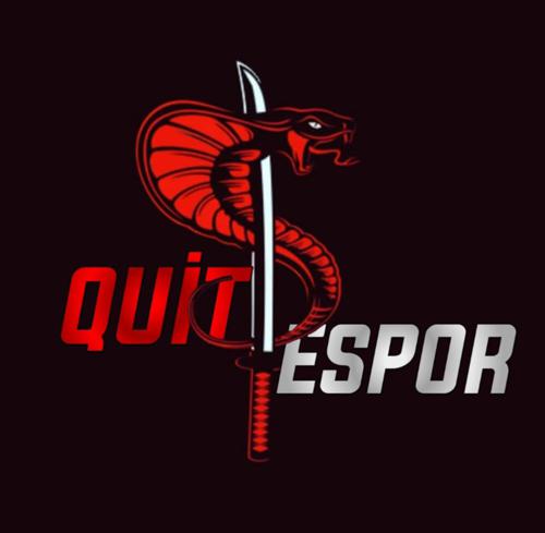 Team Quit logo
