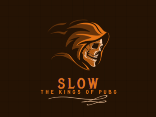 Slow Esports logo