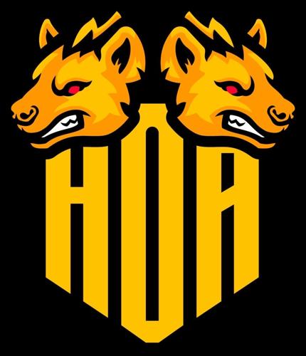 hyenasOFankara logo