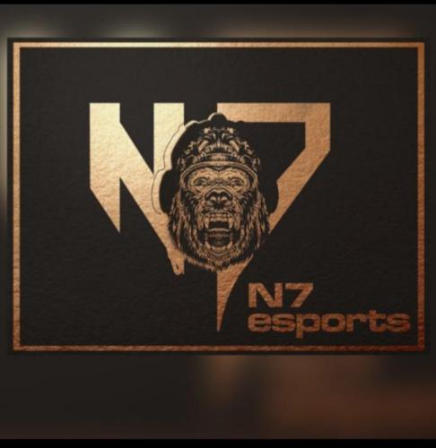 N7 Class logo