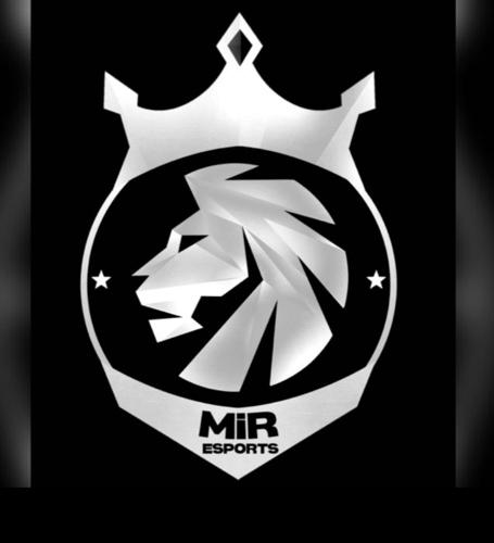 MİR logo