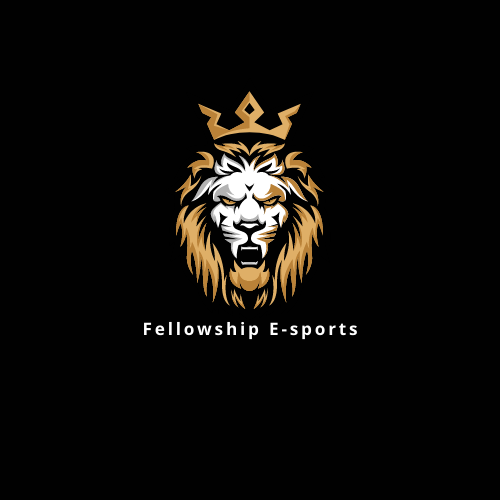 AKADEMI B TAKIMI Fellowshıp-esport logo