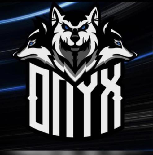 ONYX ENERGY logo