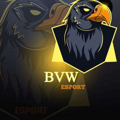 BVW E-SPORTS logo