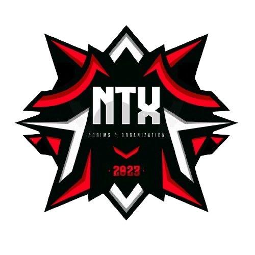 NTX TEAM logo