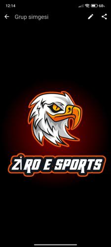 Ziro E SPORTS logo