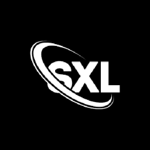 Space X Lose logo