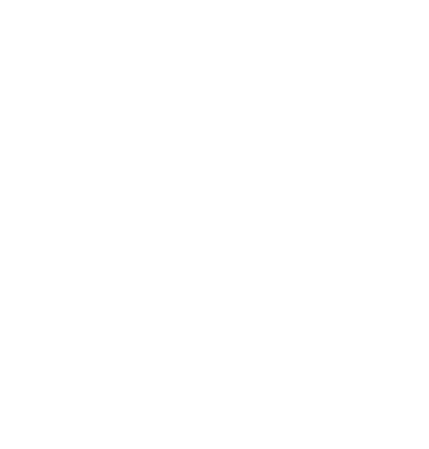 TeamJanebells logo