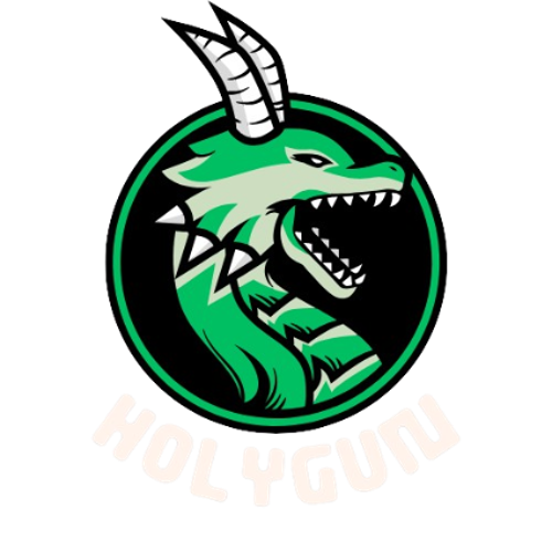 Holygun Esports logo