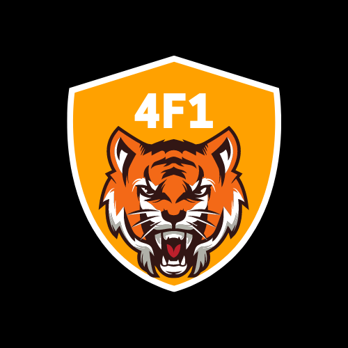 4LastikçiF1 logo