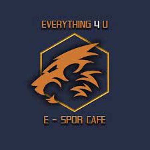 Everything 4ever logo