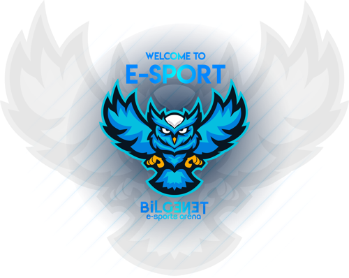 BilgeneteSpor logo