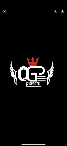 OGP ESPORTS logo