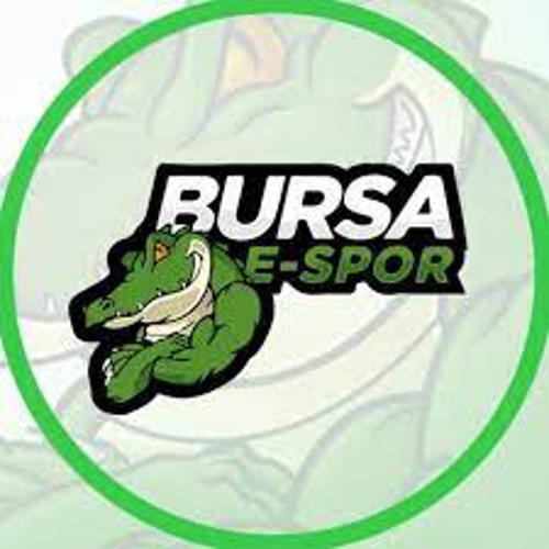 Bursa eSpor logo