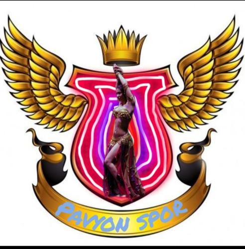pavyon Spor logo