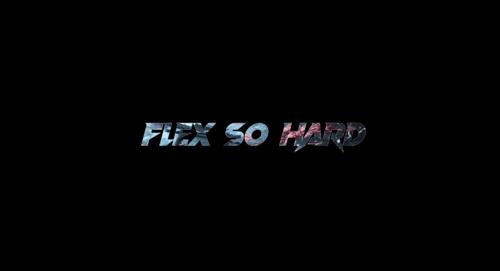 FlexSoHards logo