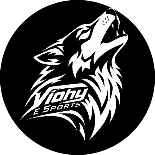Viohy E-Sports