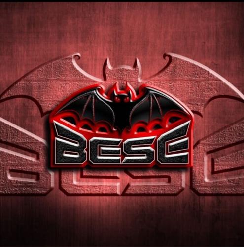 BESE E-SPORTS logo