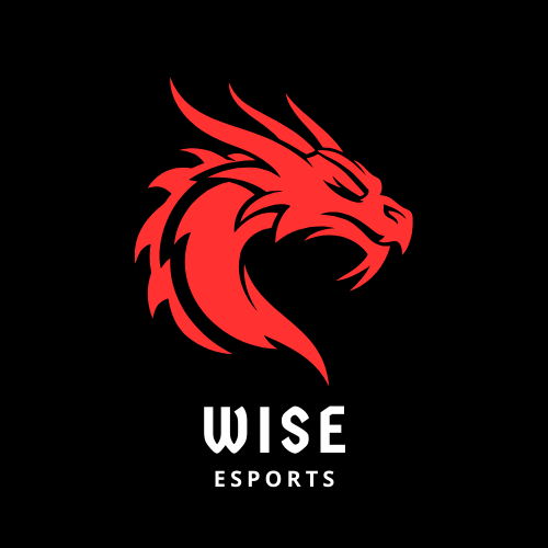 Wise Esports logo