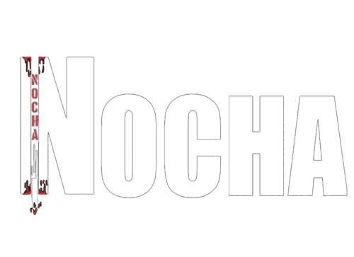 Team Nocha logo