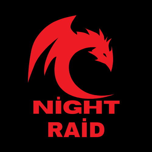 NİGHT RAİD E-SPOR logo