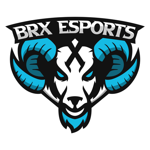 BRX Espor logo