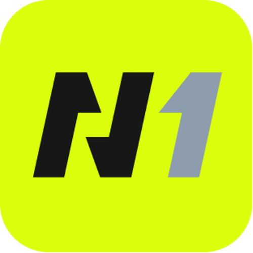 Team N1 logo