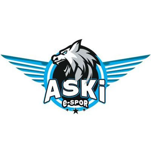 ABB Aski Espor logo