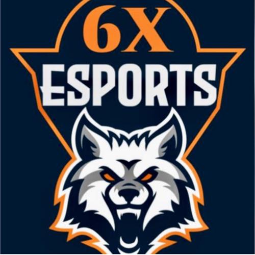 6x Esports logo