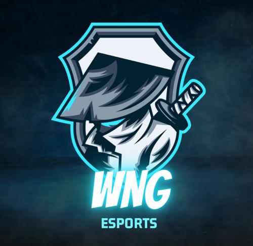 WNG logo
