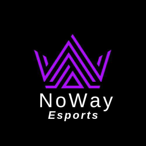 NoWay Esports logo