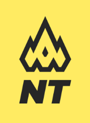 NiceTeam logo