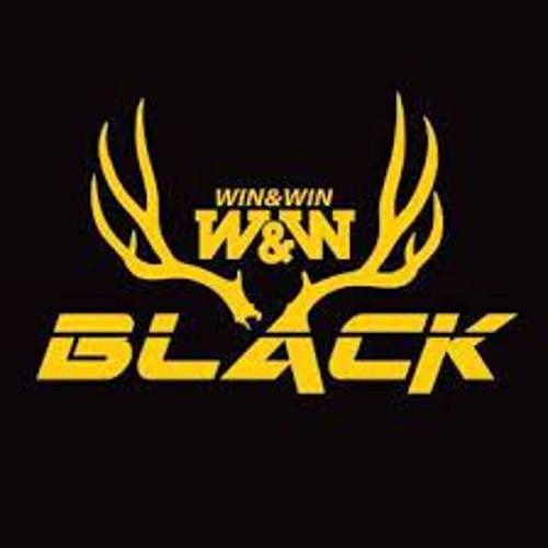 Byk Black logo
