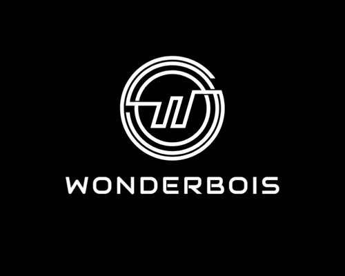 WonderBois logo