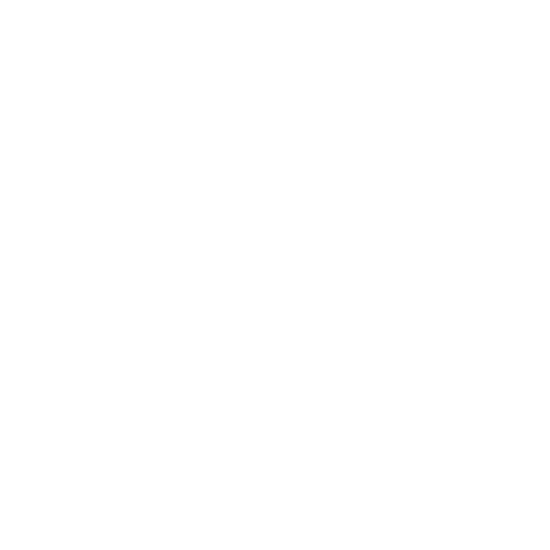 QUİNTUS#QSS logo