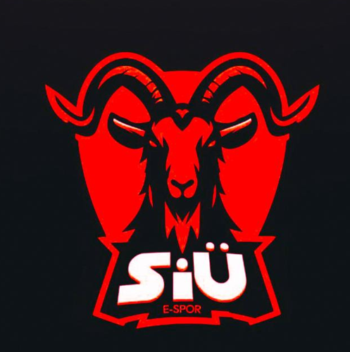 Siirt Üniversitesi Elektronik Sporlar Klübü logo