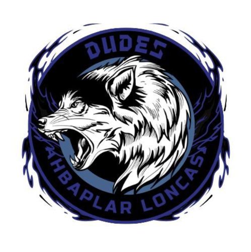 DUDES logo