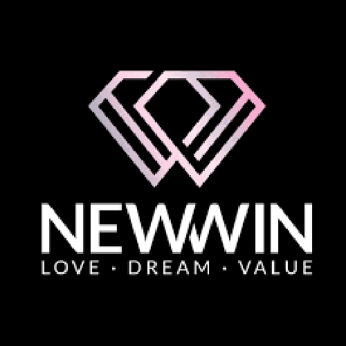 Newwin logo