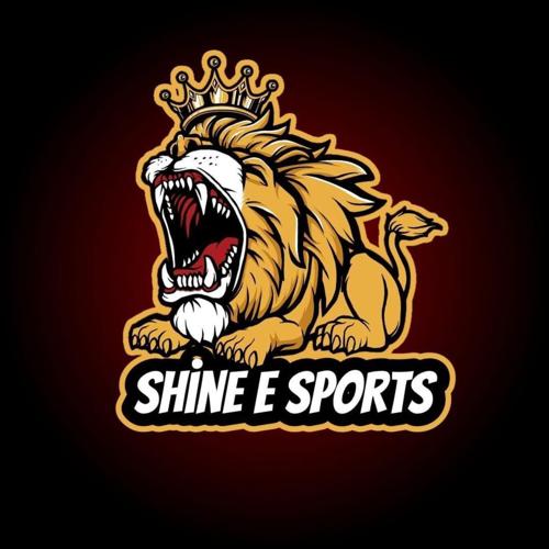 SHİNE E-SPORTS logo