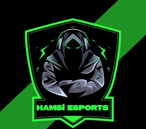 HAMSİ ESPORTS logo