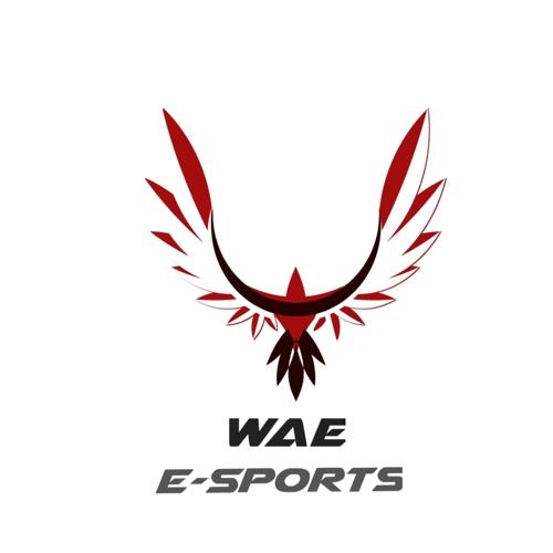 WAE ESPORTS logo