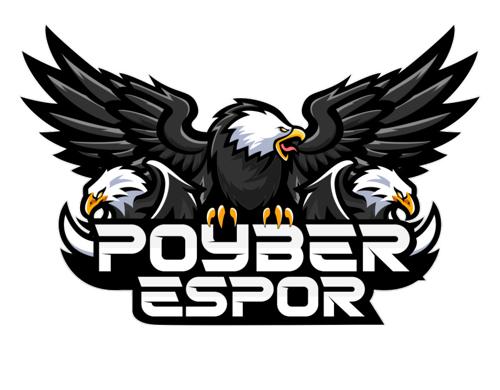 POYBER ESPORTS logo