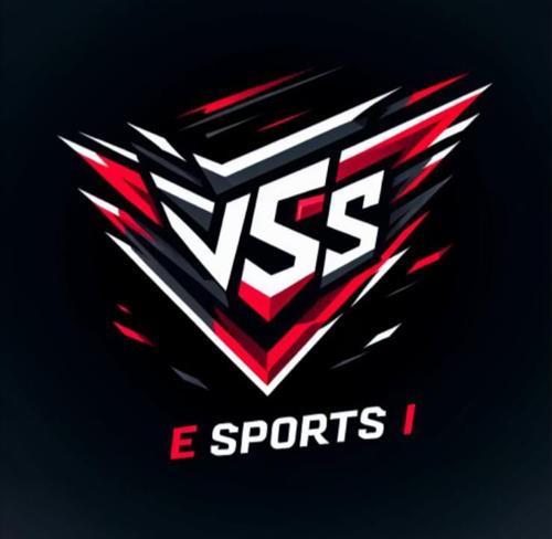 VSS GAMİNG logo