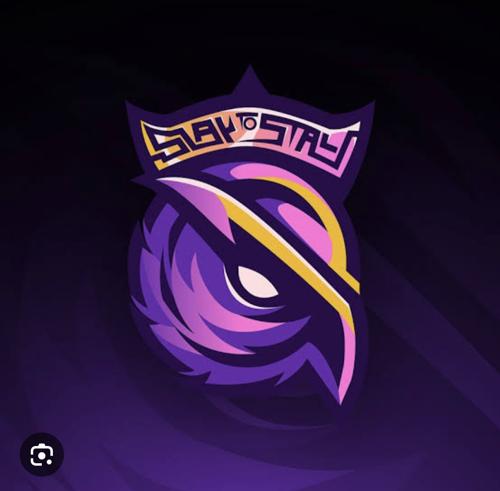 S2G-ESPORTS logo