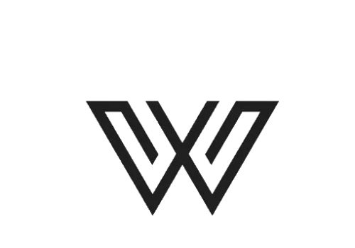 World Rider x logo